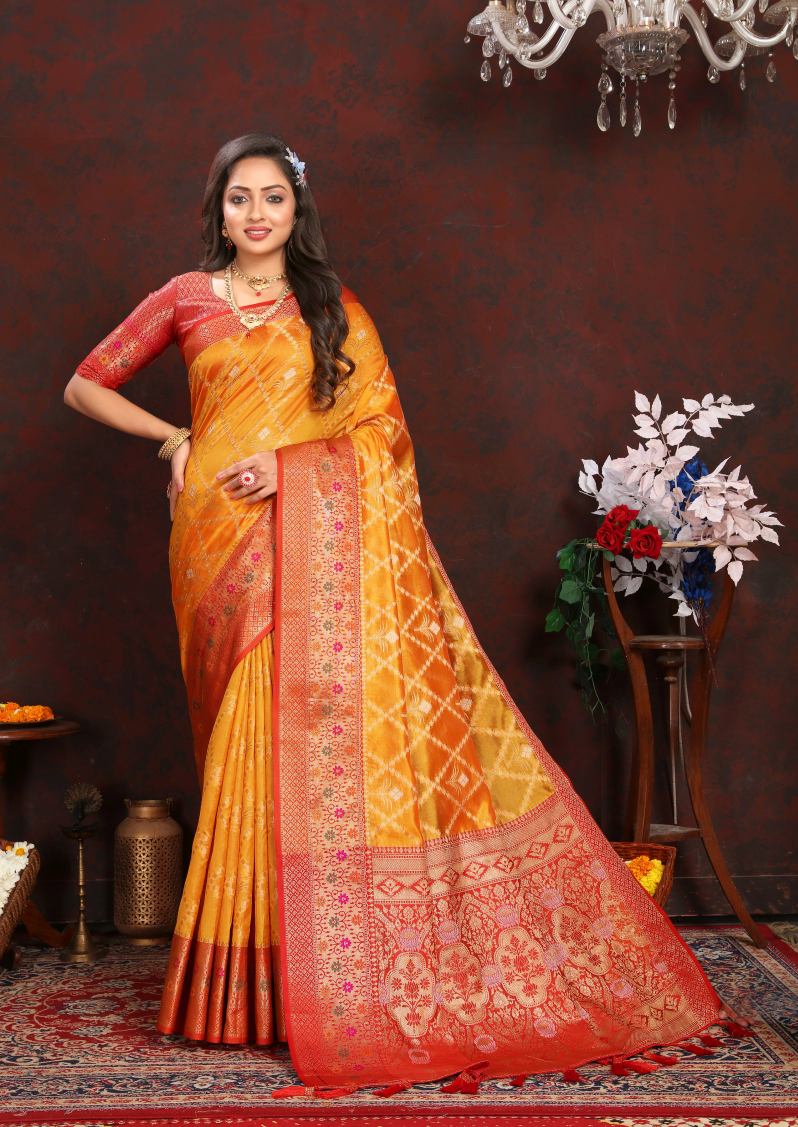 Catalog Designer Saree