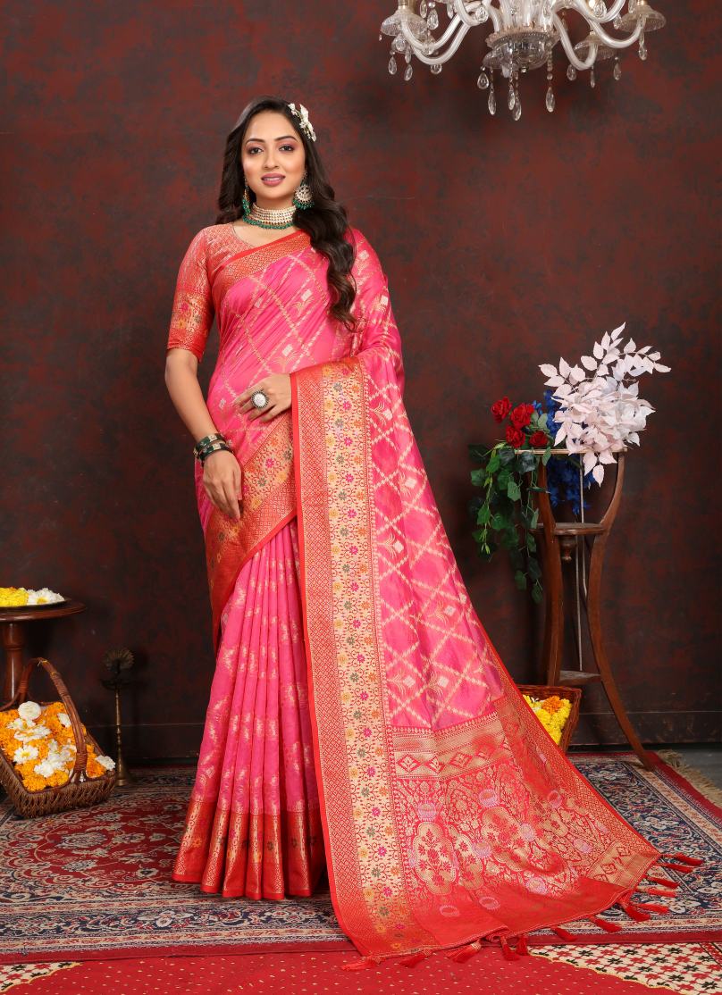 Catalog Designer Saree