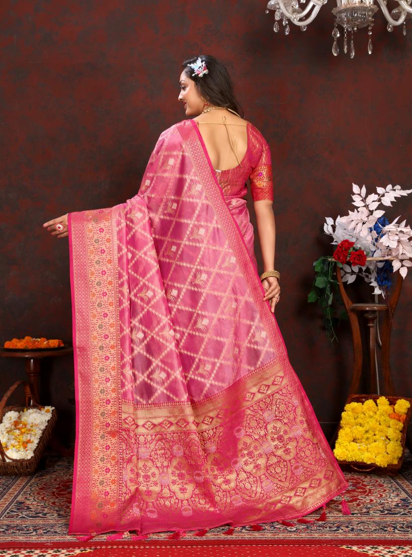 Catalog Designer Saree