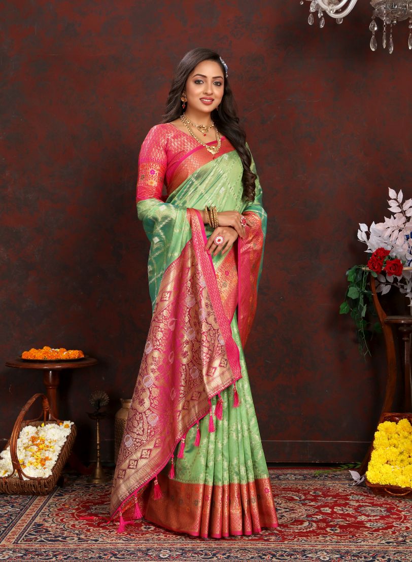 Catalog Designer Saree