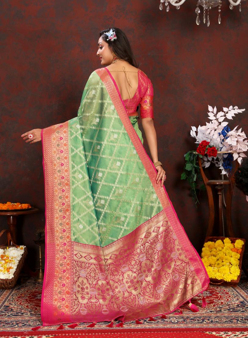 Catalog Designer Saree