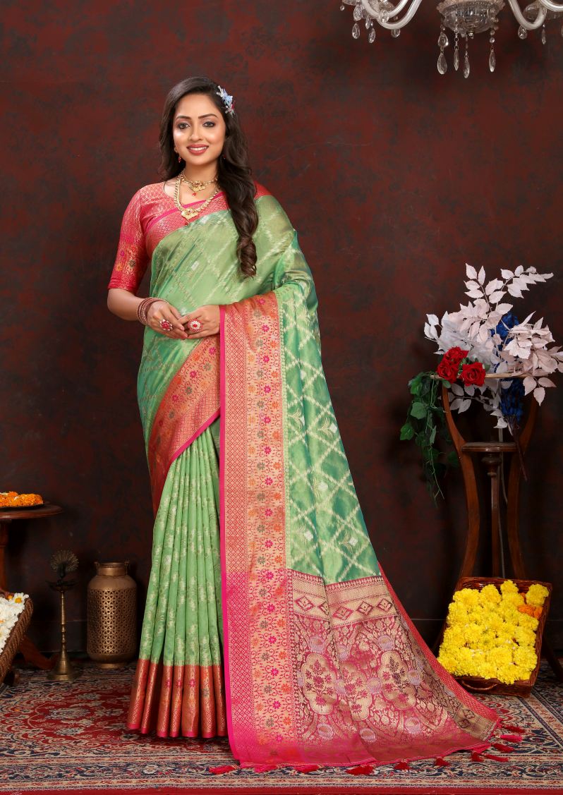 Catalog Designer Saree