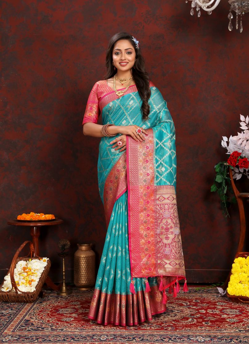 Catalog Designer Saree