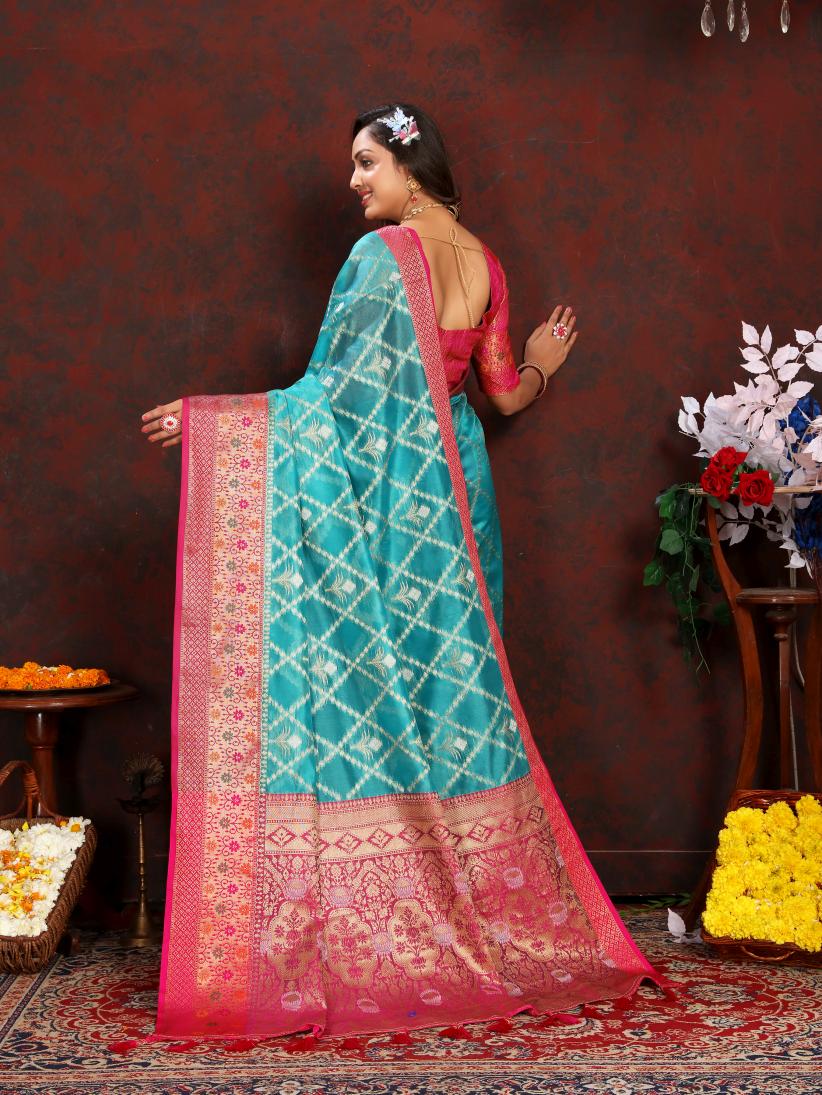 Catalog Designer Saree