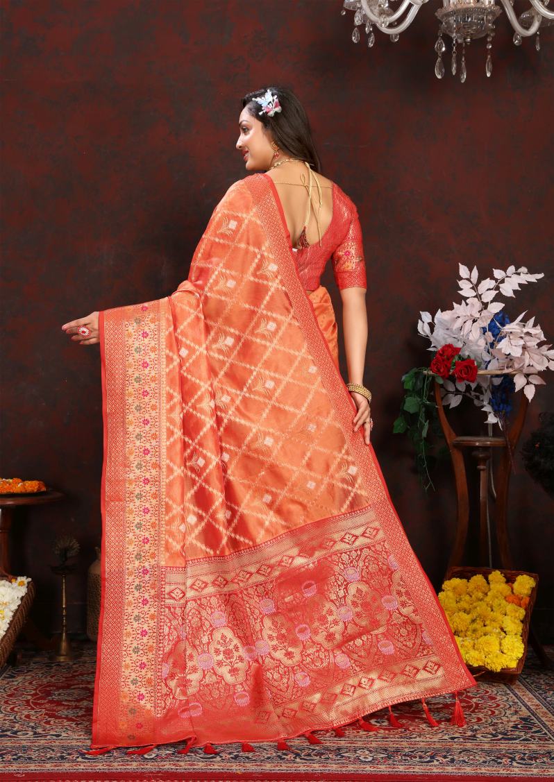 Catalog Designer Saree