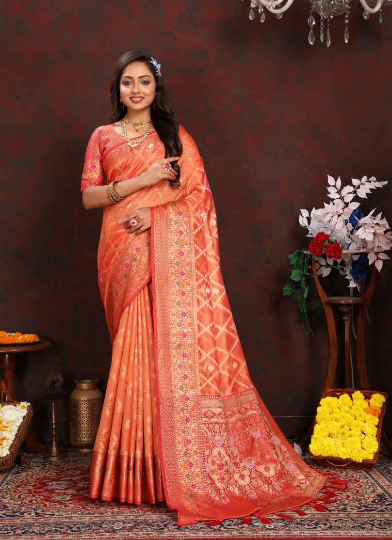 Catalog Designer Saree