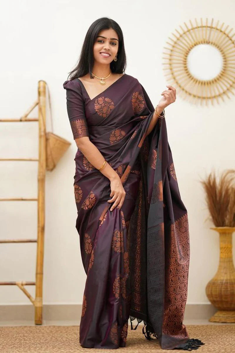 Catalog Designer Saree