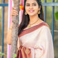 Catalog Designer Saree