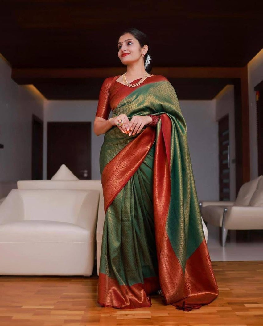 Catalog Designer Saree