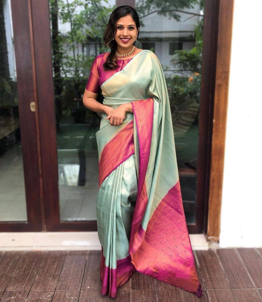 Catalog Designer Saree