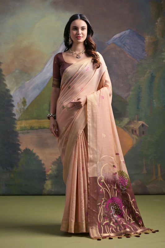 Catalog Designer Saree