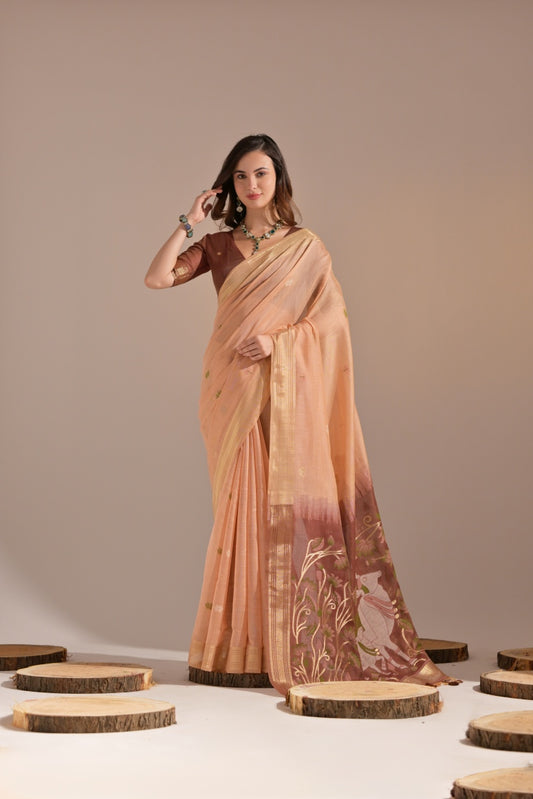 Catalog Designer Saree