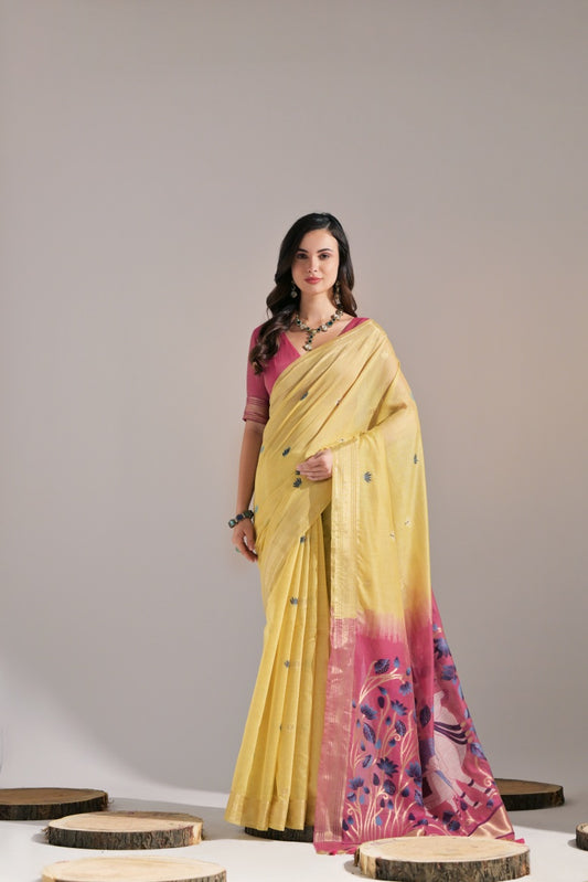 Catalog Designer Saree