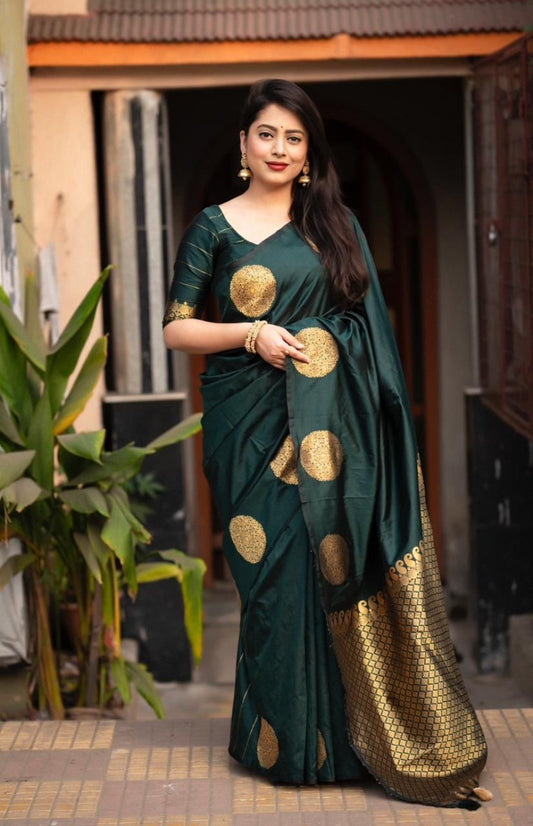 Catalog Designer Saree