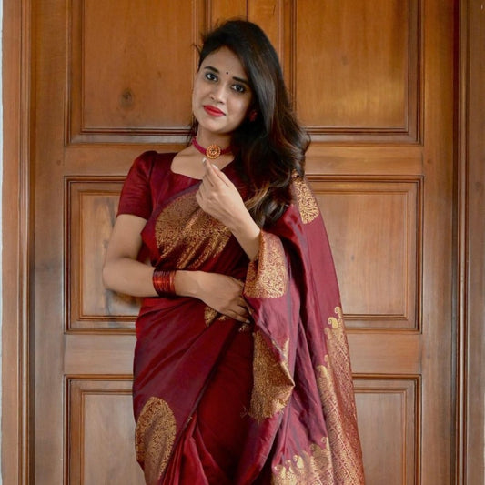 Catalog Designer Saree