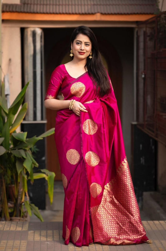 Catalog Designer Saree