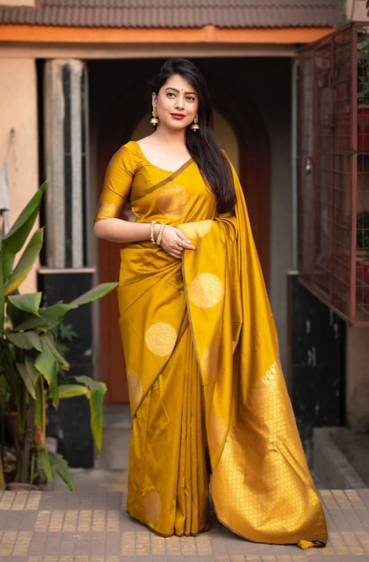 Catalog Designer Saree