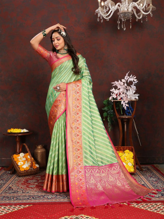 Catalog Designer Saree