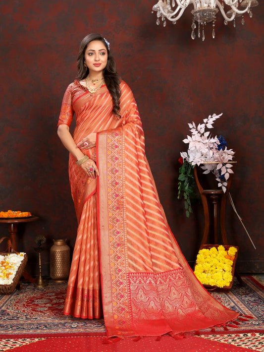 Catalog Designer Saree