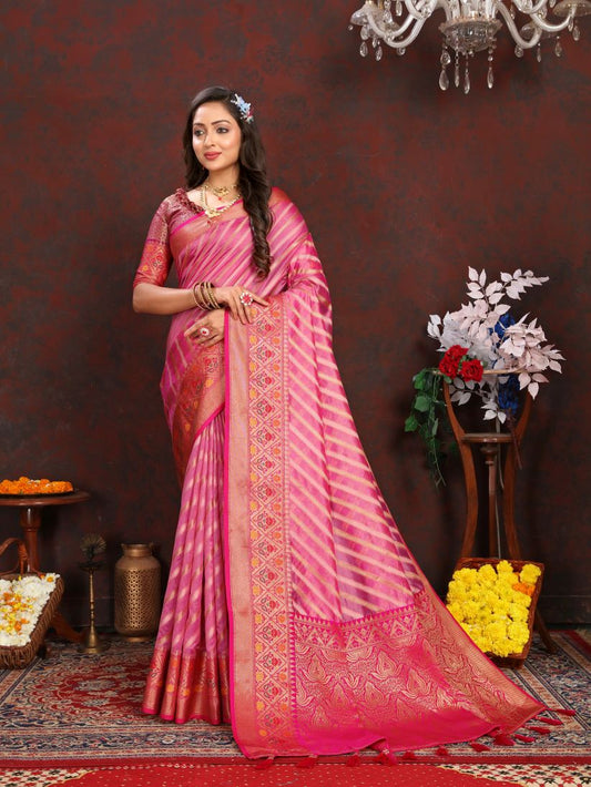 Catalog Designer Saree