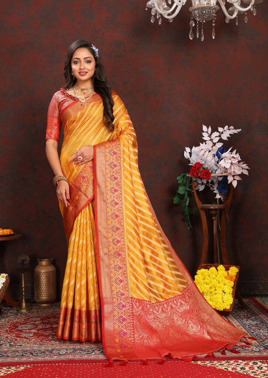 Catalog Designer Saree