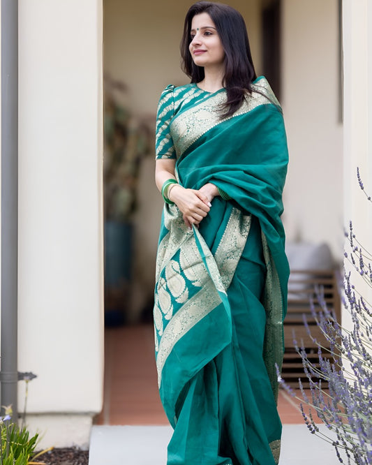 Catalog Designer Saree