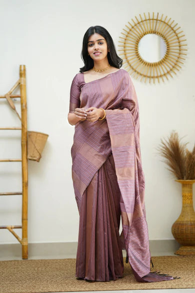 Catalog Designer Saree