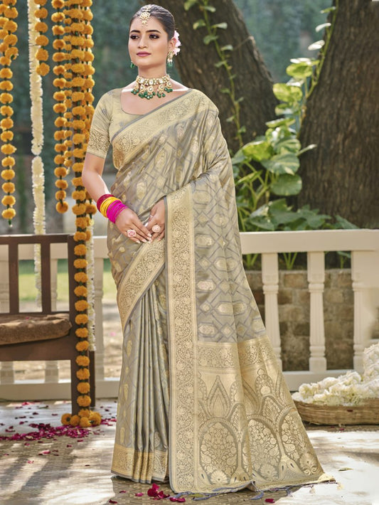 Catalog Designer Saree