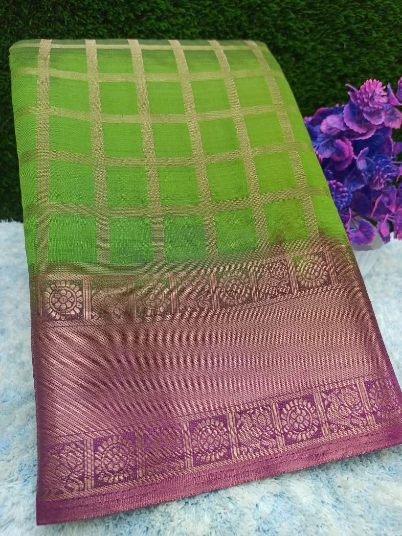 Raw Silk Saree