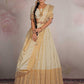 Semi Stitiched Banarasi Lehenga Choli