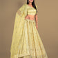 New Semi Stitiched Netted Lehenga Choli