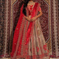 New Semi Stitiched Netted Lehenga Choli