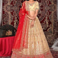 New Semi Stitiched Netted Lehenga Choli