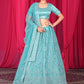 New Semi Stitiched Netted Lehenga Choli