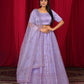 New Semi Stitiched Netted Lehenga Choli