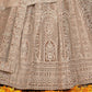 Latest Semi Stitched Velvet Lehenga Choli